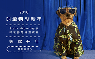 Stella McCartney：你收到一条来自时髦狗的狗年祝福