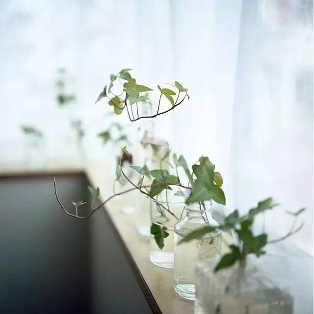 一茶、一書、一知己