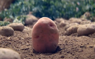 肯德基：一颗土豆的“寻梦环游记”