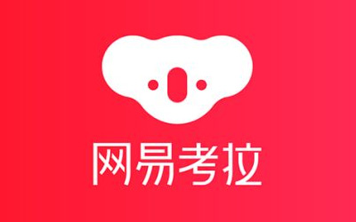 网易考拉换新logo了！这套设计一看就特别的贵！