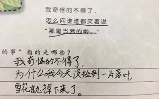 “我奇怪的不得了”...小学生又来抢文案的饭碗了！