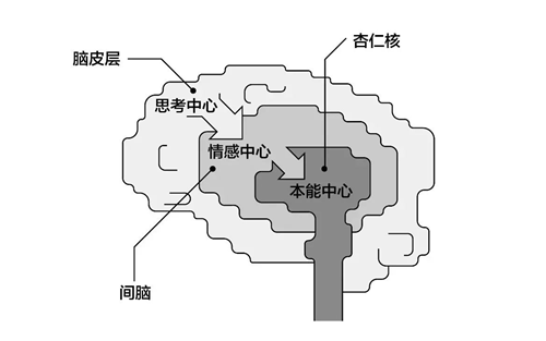 “营销第一性原理”，颠覆你的认知