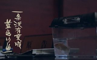 张钧甯零片酬演公益微电影，#一条没有变成蓝色的鱼#