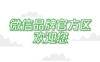 双旦营销怎么玩？“微信品牌官方区”了解一下！