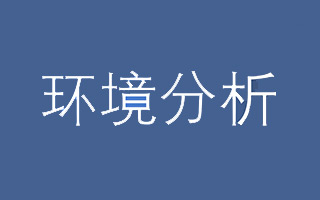 你做的ppt前几页的大环境分析，其实很有用（上）