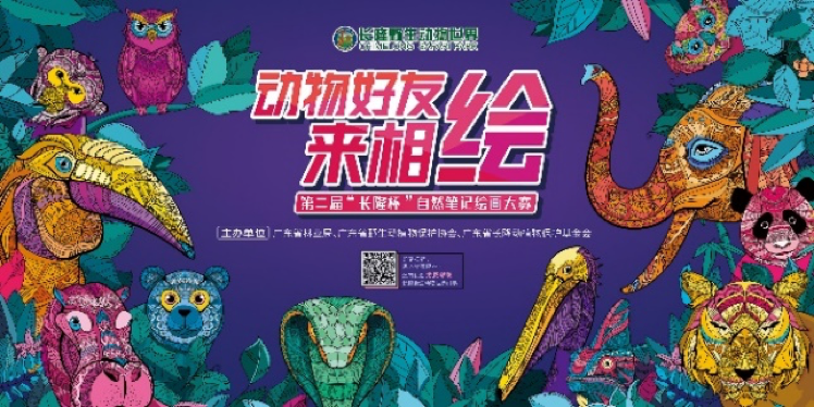 数万人相“绘”长隆“秘密森林”，以色彩感知动物好友