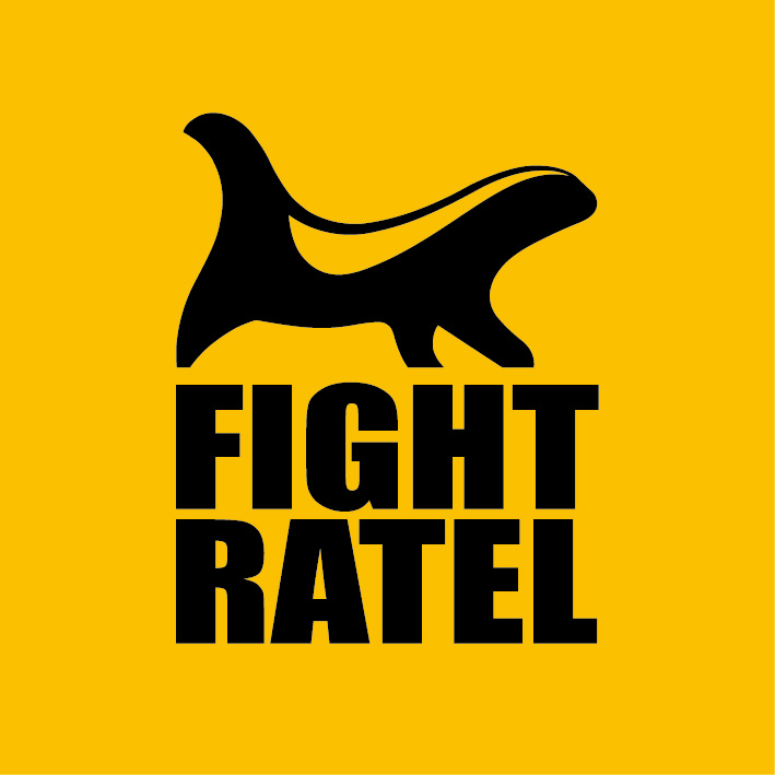 我思品牌管理助力搏击运动潮牌斗獾（FIGHT RATEL）完成品牌启动