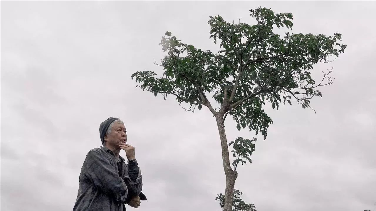 记忆消失太快，人会很焦虑