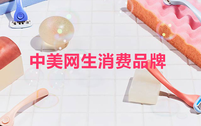 2019年，中美互联网消费品牌是怎么做增长的？