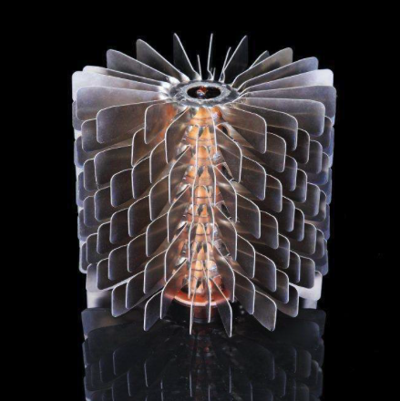 杨柳君：管理是一种“相变”——德鲁克原创研究系列335