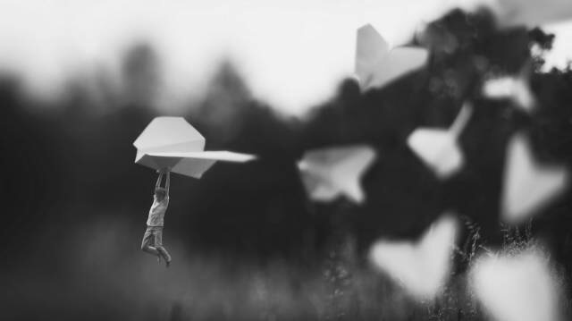 杨柳君：生活的乐趣，是为了你认可的目标竭尽全力—德鲁克系列339