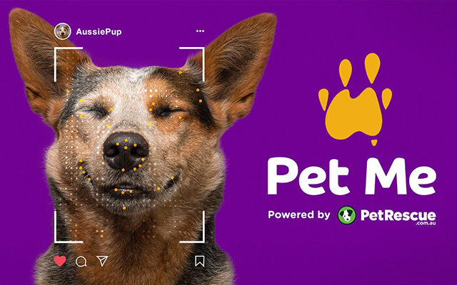 用AI配对你点的“赞”，澳大利亚这招让更多流浪动物被领养