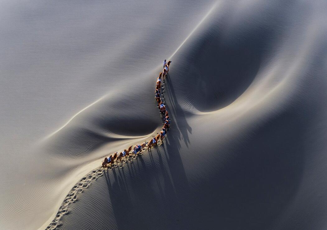 杨柳君：最高管理层的首要职责：培养继任者——德鲁克原创系列343