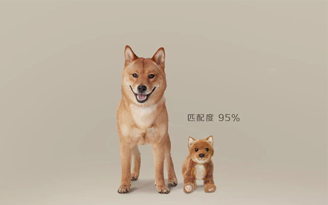 滴露：玩偶狗拯救流浪狗，让孩子的爱心不流浪