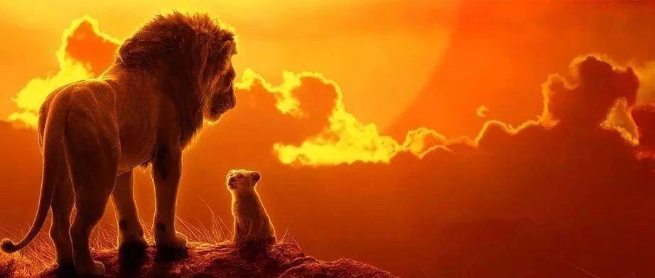 暑期没有赶上《花木兰》，但是迎来了《狮子王》