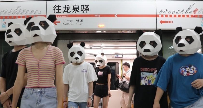 拯救成都不闲族：众安宠护了整个成都！