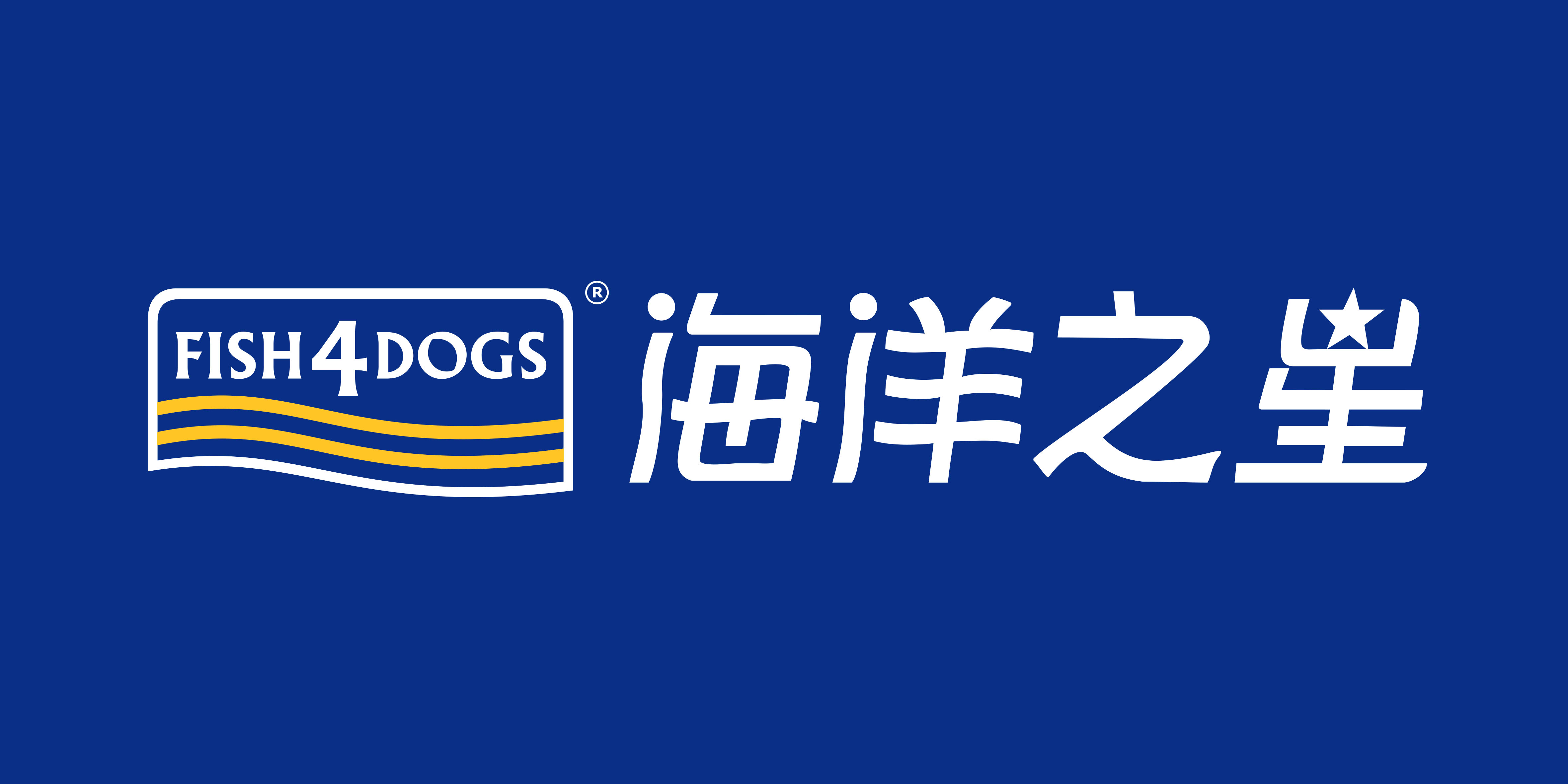 急招新媒体运营 6-8k 广东 深圳 经验1年以上