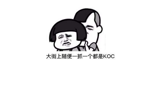 公关圈最全6.66元KOC们的现身说法...