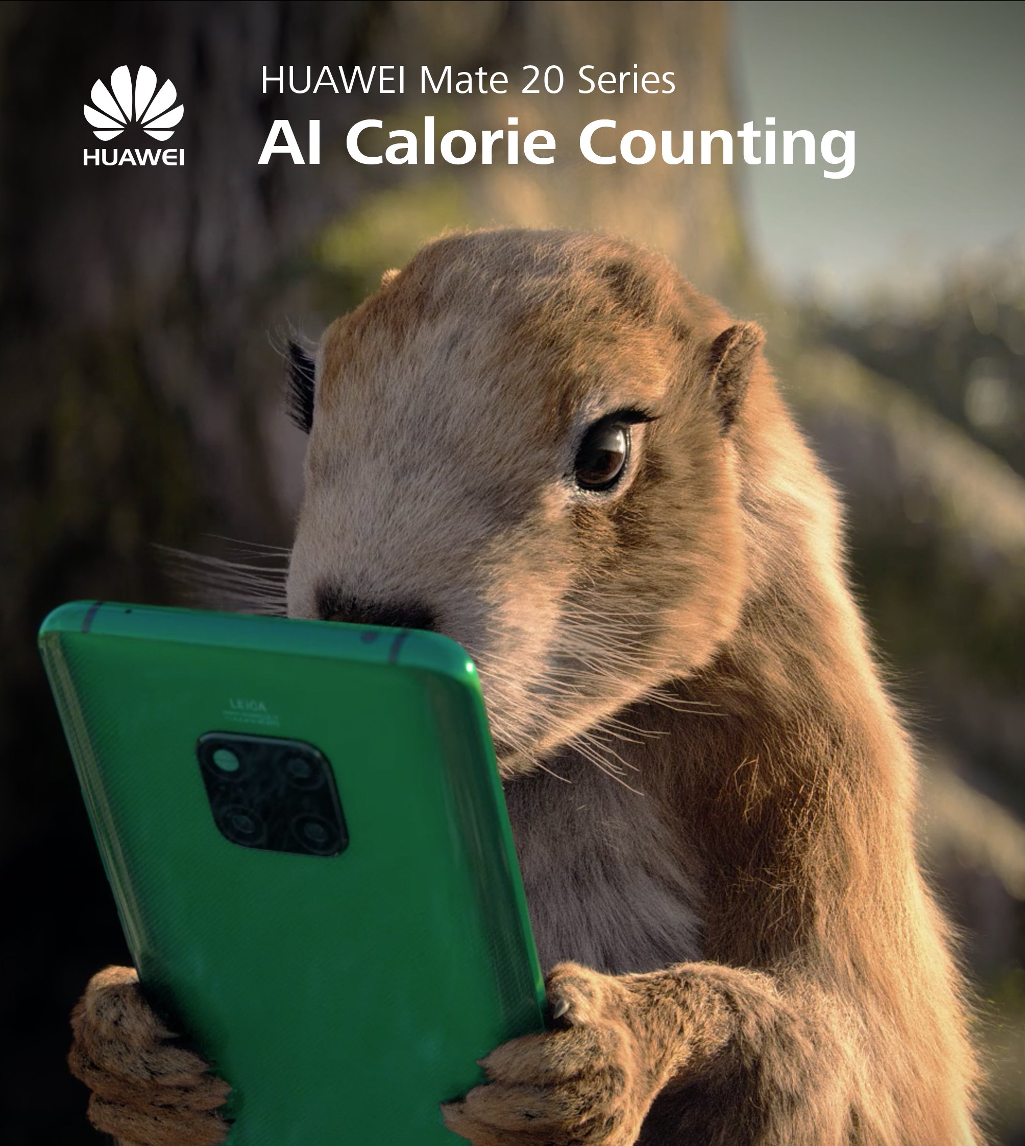 HUAWEI Mate 20 手機 – 倉鼠與鷹篇