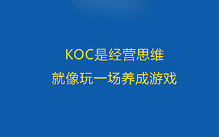 热议过后的KOC，是一般品牌玩不起的养成游戏