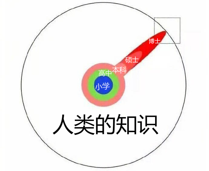 观点：碎片化社交媒体形成碎片化的知识体系，喜忧参半