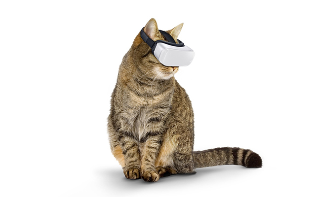 全球首款“猫咪VR”，让澳洲猫乖乖在家避免伤害