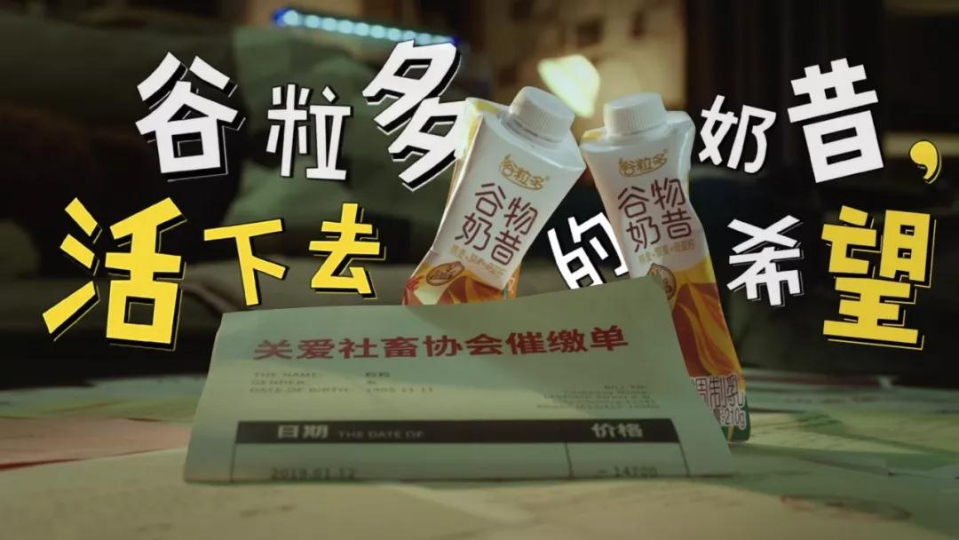 代餐市场成乳制品牌新战场，谷粒多如何率先赢得“社畜心”