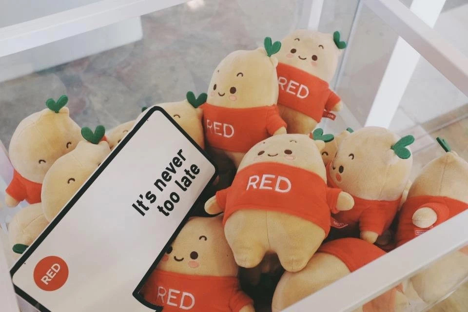 迷失在电商变现路上的小红书