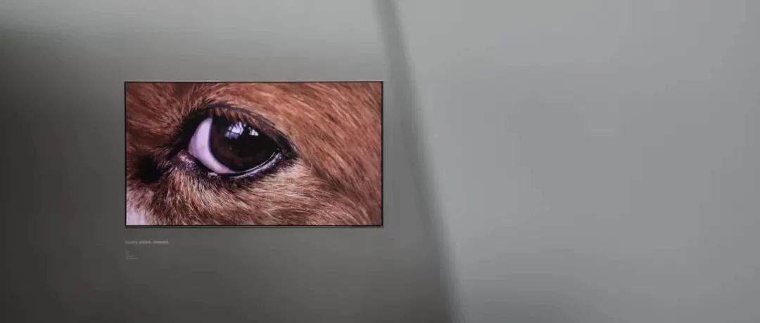 搞科技的华为，这次在艺术界出圈了！