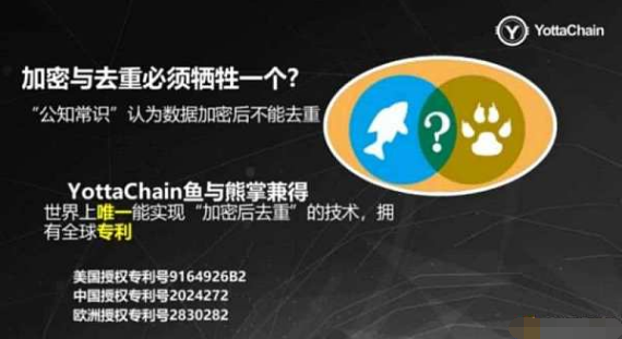 区块链存储领域的主流YottaChain泛圈科技专业安全高效云存储