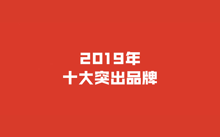 2019年十大突出品牌