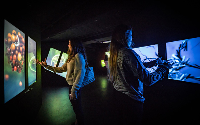 沉浸式互动艺术展在华盛顿举办，一起来养个“电子生物”吧！