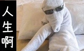 《一条中年毛巾的前半生》