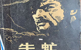 重生之红衣主教是我爹