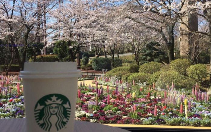 在花海里喝咖啡，日本这家“花园式”星巴克做到了