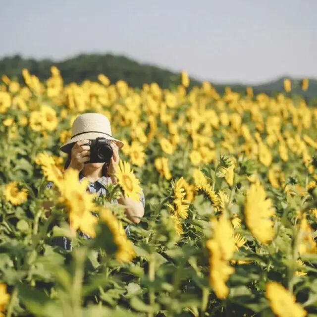 生活要量身才会出彩