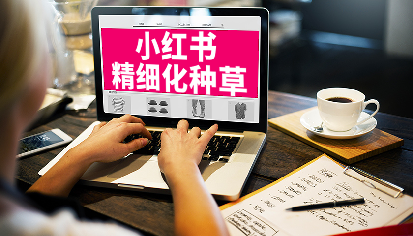 如何通過數據洞察做好精細化內容種草，實現品牌逆勢增長？