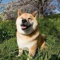 【測試勿審】