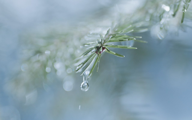 康师傅微纪录片：从一滴水，到大自然的馈赠