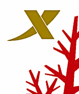 活在設計--特步運動--DIS原創設計