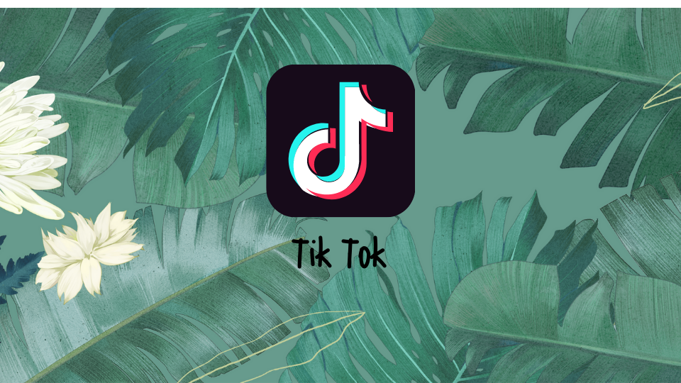 TikTok，何以为家？