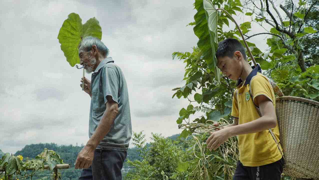 去彭水苗乡，喝一杯《爷爷泡的茶》