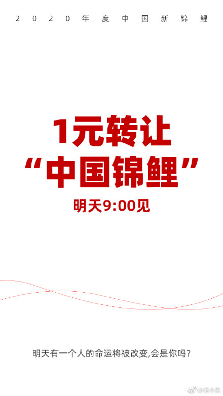 信小呆“1元转让锦鲤”上热搜，爆款抽奖是这样炼成的......