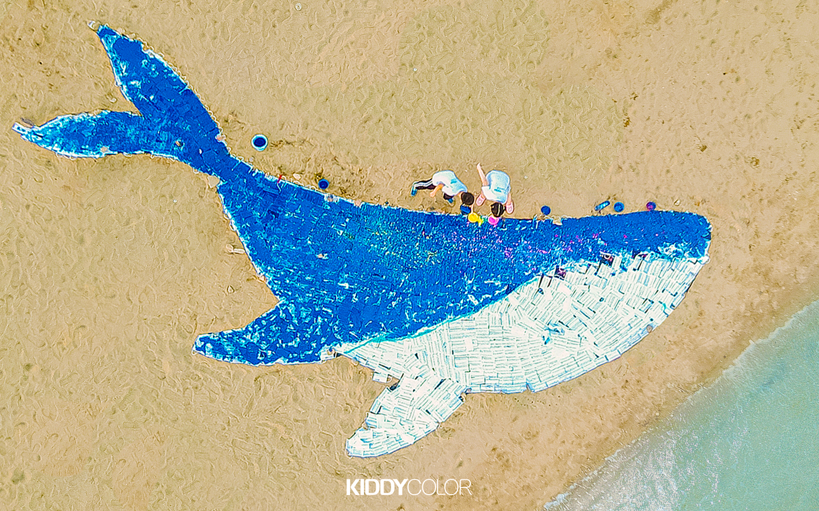海洋公益行动 | KIDDYCOLOR用2000只口罩拼出一只10米长的白色蓝鲸