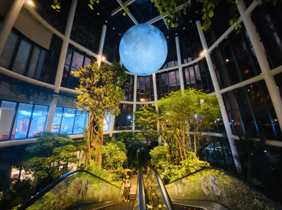  新场景、新消费下的特色新营销怎么玩？