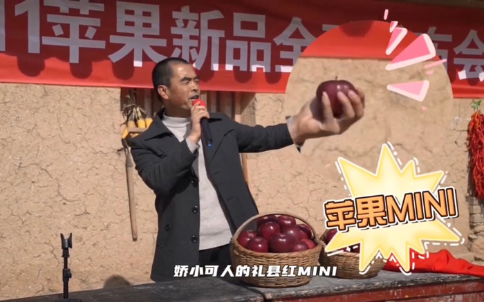 阿里巴巴：双十一，村里开了场苹果新品发布会