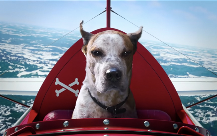 微软圣诞短片脑洞大开：一只狗的云端奇幻之旅