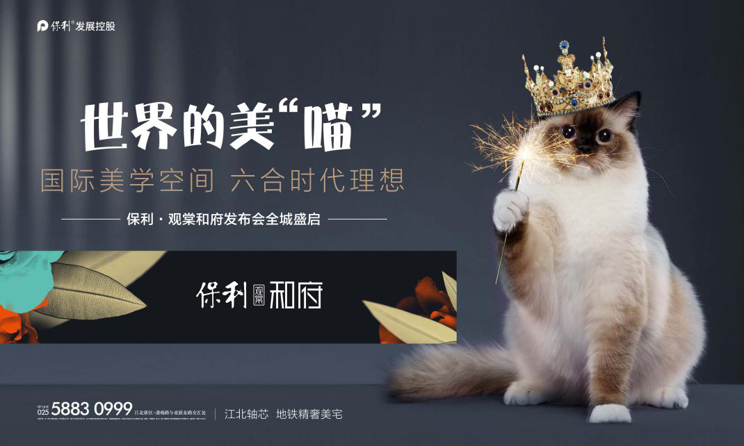 地产界首场萌猫主题线上发布会！看保利怎么用猫来讲透2020重磅作品