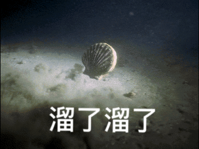 獐子島原董事長起訴證監會，此前曾申訴 網友：扇貝要"活"了？