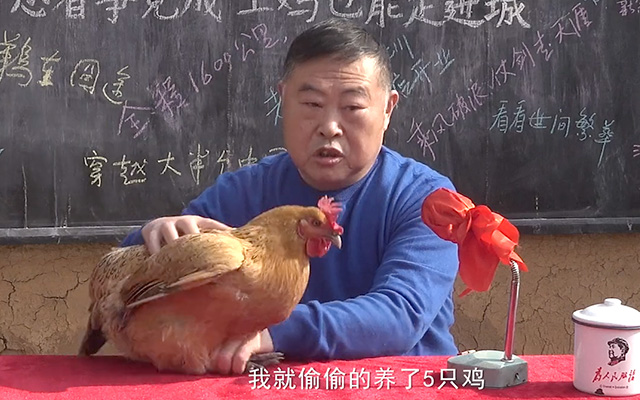 老乡鸡为什么送一只鸡去旅游？爆肝梳理“末路狂鸡”营销始末！